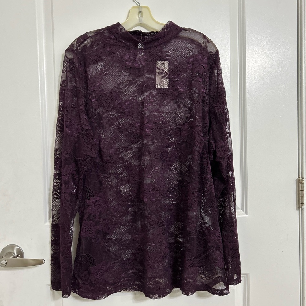 Plum Sheer Lace Mock Neck Top Dark Fairy Romantic